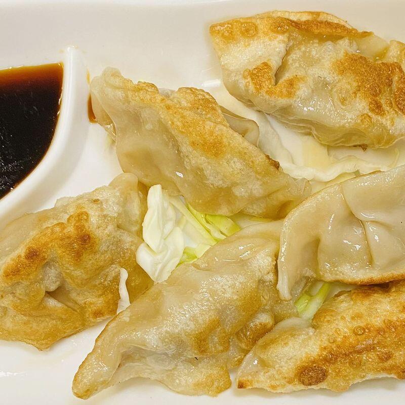 FD-Fried Pork Dumpling (6)