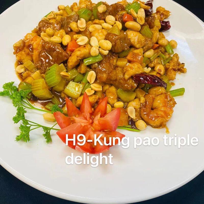 [spicy]H9-Kung Pao Triple Delight